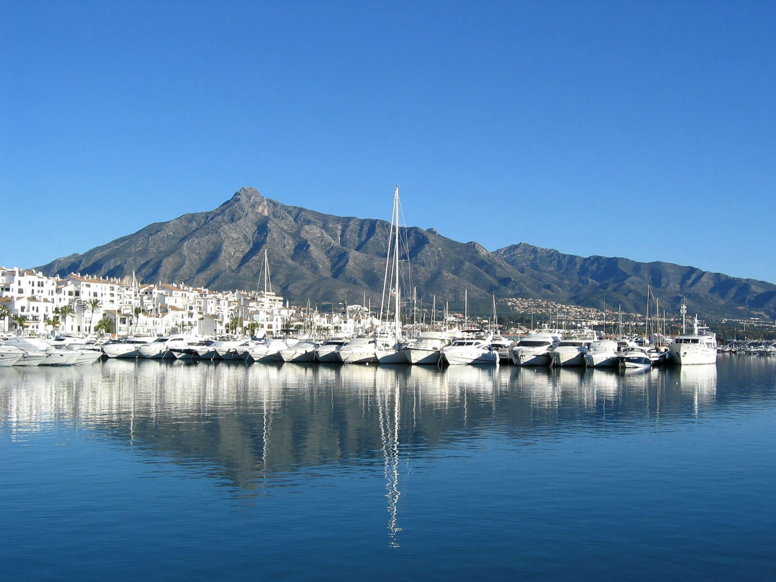 Puerto Banús Guide  All you need to know