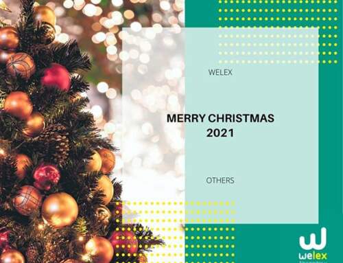 Merry Christmas 2021 | WELEX