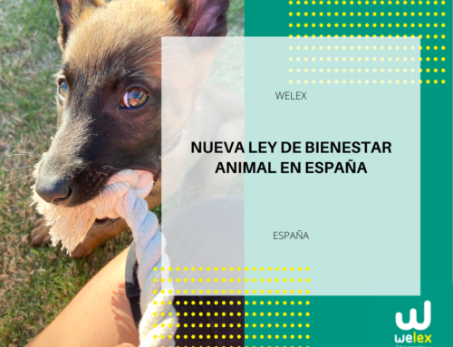 Nueva ley de bienestar animal en España