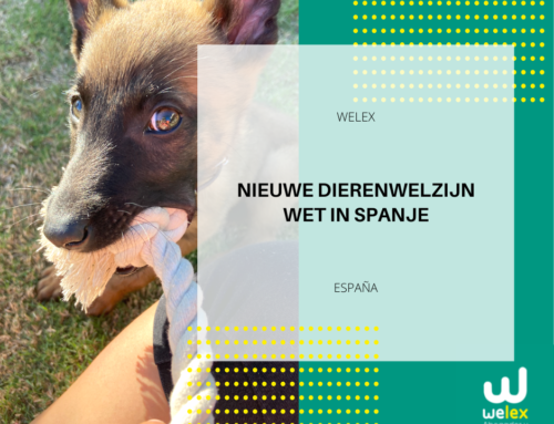 Nieuwe dierenwelzijn wet in Spanje